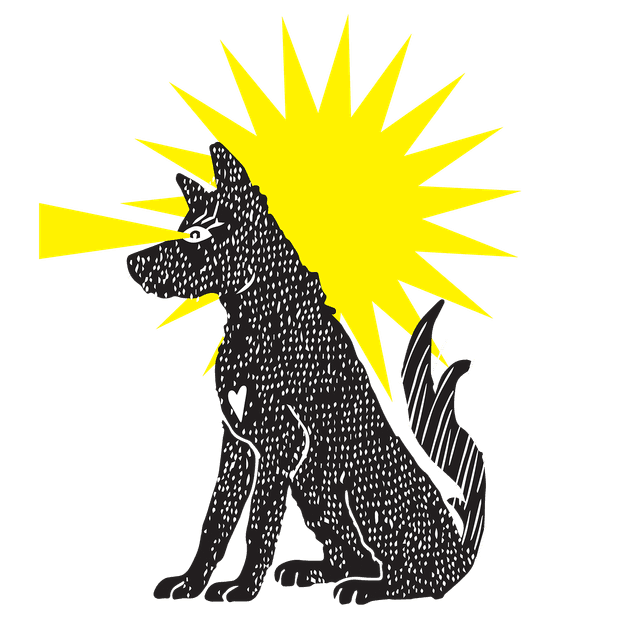 Binga e o Sol